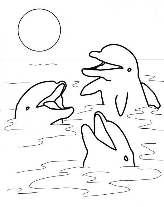 Plansa de colorat cu Delfin 2 12
